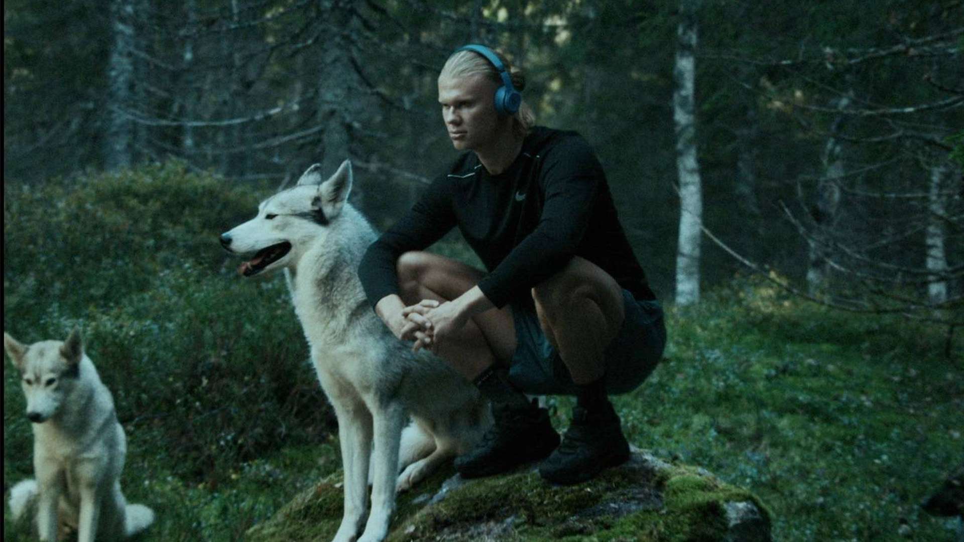 並成為該聯 並成為該聯